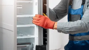 garanzia elettrodomestici quanto dura