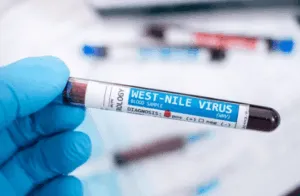 west nile virus